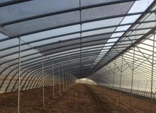 溫室大棚放風的科學方法